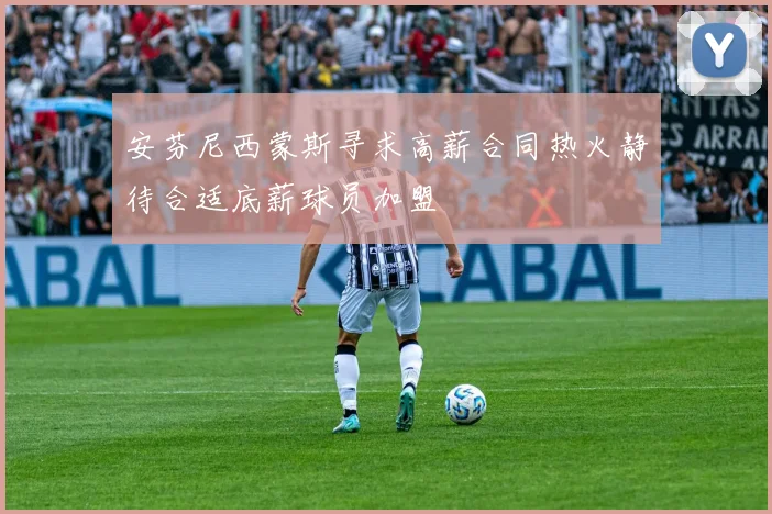 安芬尼西蒙斯寻求高薪合同热火静待合适底薪球员加盟